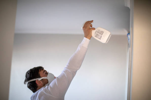 Best Commercial Mold Remediation in Oak Ridge, FL