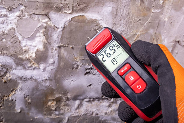 Best Mold Remediation for Schools in Oak Ridge, FL