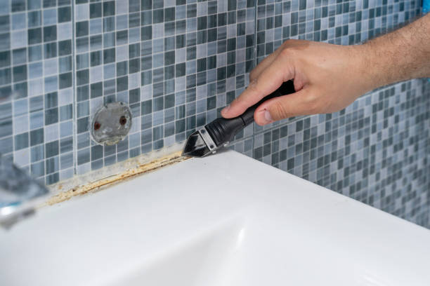 Best Health and Safety Mold Remediation in Oak Ridge, FL